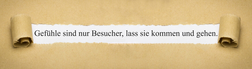 Gefühle sind nur Besucher, lass sie kommen und gehen.