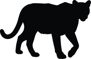 Majestic black panther silhouette walking gracefully powerful predator wild cat vector