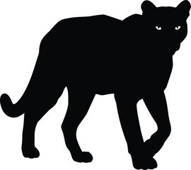 Black panther silhouette majestic predator powerful wild animal stance vector
