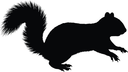 Silhouette of a squirrel mid-jump dynamic pose iconic forest animal vector graphic for nature designs. vector