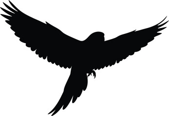 Silhouette of a majestic parrot with wings spread wide in flight vector