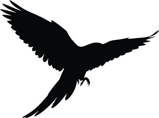 Majestic bird silhouette soaring freedom wild nature vector