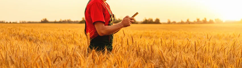 Selbstklebende Fototapeten Honig Agricultural worker texting on mobile phone in golden grain field  © Barillo_Images