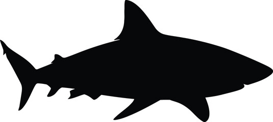 Silhouette shark majestic ocean predator powerful marine life vector © Mohim