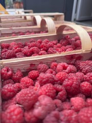 raspberries at the market