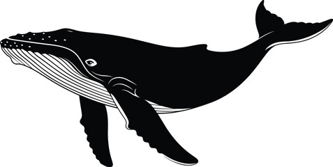 Majestic humpback whale illustration nautical ocean wildlife marine mammal vector