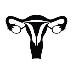 Female reproductive system anatomy diagram biological