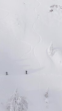 AERIAL: Active tourists on splitboarding trip trek along the side of a slope covered in powder snow. Spectacular flying view of the pristine white wintry mountain landscape surrounding two ski tourers