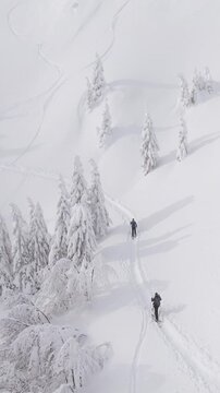 AERIAL: Spectacular flying view of the pristine white wintry mountain landscape surrounding two ski tourers. Active tourists on splitboarding trip trek along the side of a slope covered in powder snow