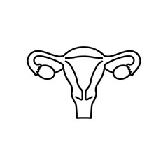 Female reproductive system outline organ anatomy