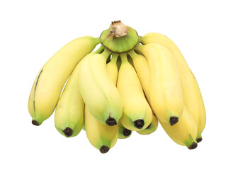 Comb of raw cavendish bananas isolated on transparent background