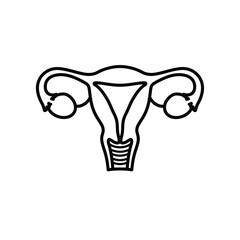 Female reproductive system anatomy diagram vector