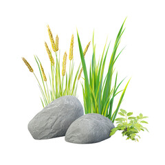 Natural Arrangement with Rocks Grasses and Green Plant on Black Background