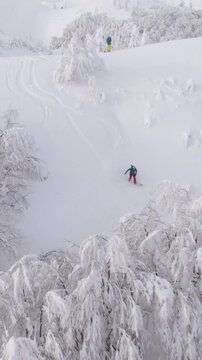 AERIAL: Flying above a snowboarder descending down the snowy hill in Julian Alps during a splitboarding trip with other active tourists. Other ski tourers observe splitboarder shredding powder snow.