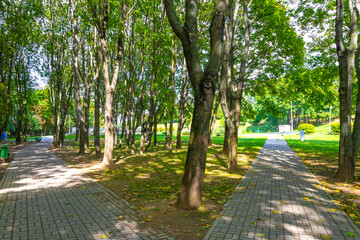 Fototapeta premium Park Civali Tivali path in green nature fields forest Minsk Belarus.