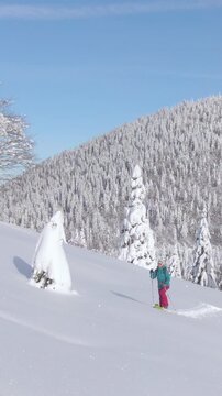 DRONE: Scenic wintry mountain landscape surrounds fit young woman ski touring on a sunny day. Woman on splitboarding trip in the Julian Alps hikes up a snowy meadow. Gorgeous idyllic wintry landscape.
