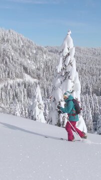 Active female tourist ski touring in the gorgeous Julian Alps hikes up a powder covered hill. Young Caucasian woman on splitboarding trip treks across a snow covered meadow on a sunny winter day.