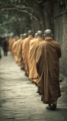 Monks walking in single file along a quiet path