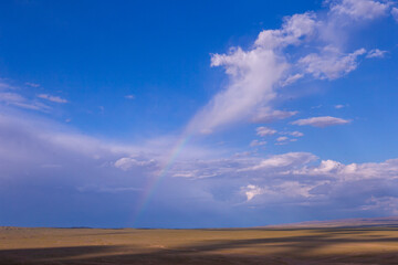 Mongolian Landscape