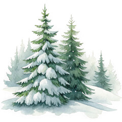 Obraz premium Majestic snowy evergreen trees in a winter forest scene with detailed snow coverage transparent background