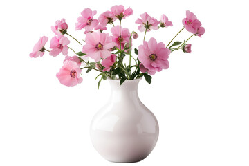 Charming display of small pink flowers arranged in a white vase against a transparent background creating a serene atmosphere for any setting