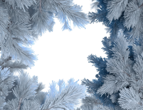 Abstract Winter Background with Frosty Pine Branches and Black Silhouette