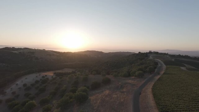 RAW Aerial Sunset Over Paso Robles Vineyards & Olive Groves &mdash; Golden Hills, Winding Ridge Road, Central Coast California (Drone 4K Stock Footage)