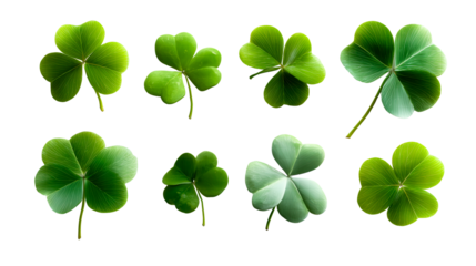 Eight Vivid Green Clover Leaves on White Isolated Background, cut out transparent