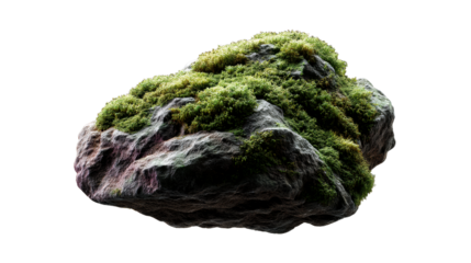 Rocky terrain covered with lush green vegetation and small white flowers, cut out transparent