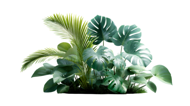 Group of lush green tropical plants including palm fronds and monstera leaves, cut out transparent - Powered by Adobe