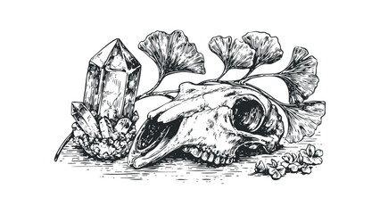 Sketch of Animal Skull with Crystals and Ginkgo Leaves. Vector hand drawn illustration