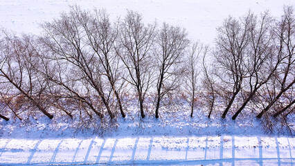 Landscape of nature in a snowy forest, aero photo, top view of a forest in winter