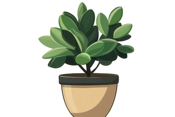 Fototapeta premium Small green plant in a simple pot with a black rim set against a transparent background showcasing the leaves' vibrant color and shape