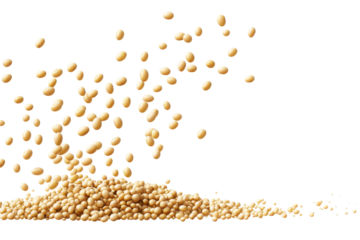 Falling soybeans create a dynamic display of motion and texture on a transparent background emphasizing their natural color and form