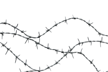 Abstract barbed wire texture showcasing intricate patterns on a clean white background with high-resolution detail