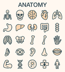 A set of minimalist line icons representing key human anatomy parts.