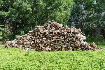  Large Stack of Firewood in a Green Field