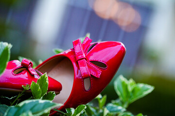 Bride Bridal Wedding Shoes Fancy Ladies Women High Heels Wedge Canvas Boutique Converse