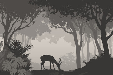 Antelope in tropical forest, landscape, vector illustration