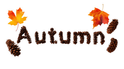 Hello Autumn text with letters filled with fall leaves and pine cones, PNG isolated typography on transparent background.