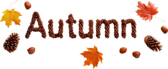 Hello Autumn text with letters filled with colorful fall leaves patterns, PNG isolated typography on transparent background.