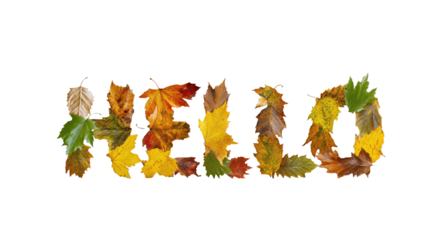 Hello Autumn text with letters filled with colorful fall leaves patterns, PNG isolated typography on transparent background.