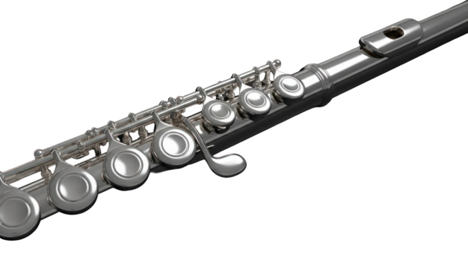 Detailed silver flute showcasing intricate key mechanisms against stark black backdrop