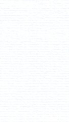 Fototapeta premium Seamless white textured surface