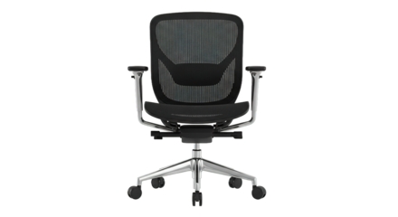 Modern Ergonomic Office Chair Back View