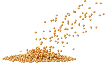 Falling soybeans create a dynamic display above a piled mound, capturing the essence of agricultural abundance and nature's rhythm in a clear setting