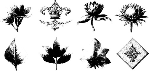 Ornamental design elements collection with floral and leaf motifs for decorative wallpaper
