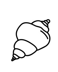  Conch Shell Outline