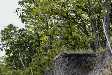Dramatic cliffside scene showcasing exposed roots, lush trees, and a blue sky. The photograph depicts a picturesque scene of a cliffside with trees and visible roots, set against a cloudy sky.