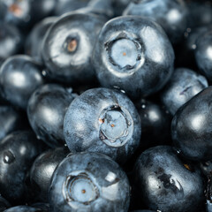 Macro Texture of Fresh Blueberries Close-Up.